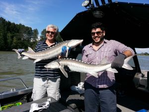 Vancouver Sturgeon double header