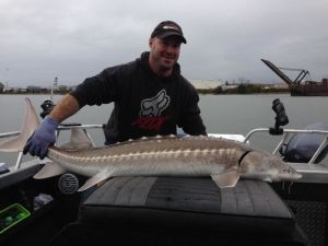 Vancouver fishing sturgeon