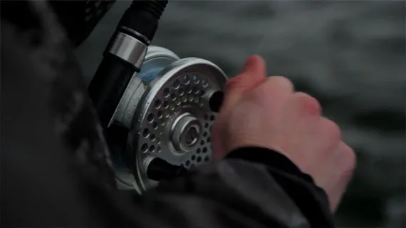 Hunting for Harrisons! Fall fishing with Bon Chovy