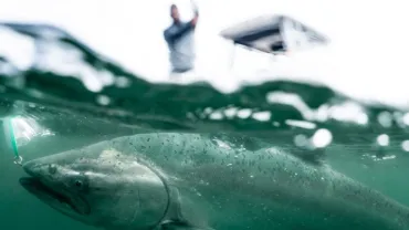 Gulf Island Fishing Packages